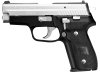 SIG P229