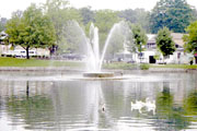 Fountain City Duck Pond