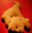 Animal Cracker