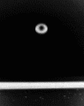 High Speed Water Droplet Photography