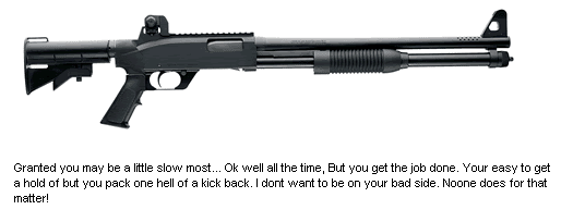 1053372131_estShotGun.gif