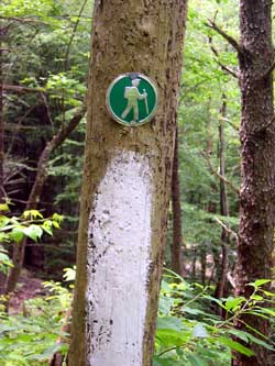 2005-07-05-Stinging-Falls-0002-thumb.jpg