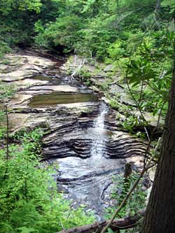 2005-07-05-Stinging-Falls-0003-thumb.jpg