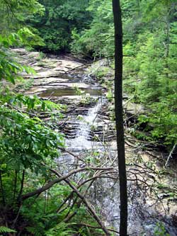 2005-07-05-Stinging-Falls-0004-thumb.jpg