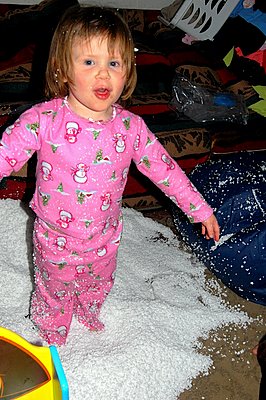 2008-02-20-Beanbag-0001.JPG