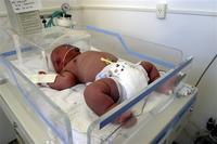 BRAZIL_BIG_BABY.sff_XVC101_20050120071112.jpg