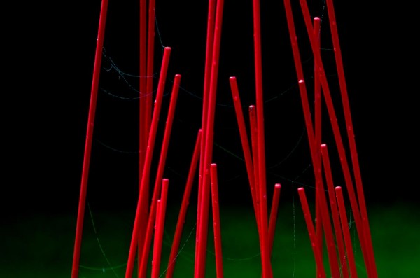 _DSC7411