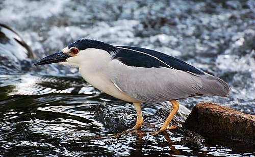 DSC_1649.JPG
