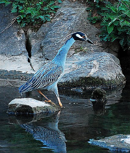 DSC_1695.JPG