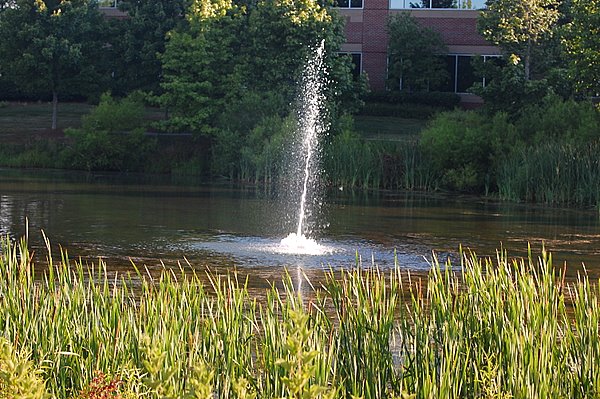 DSC_2309.JPG