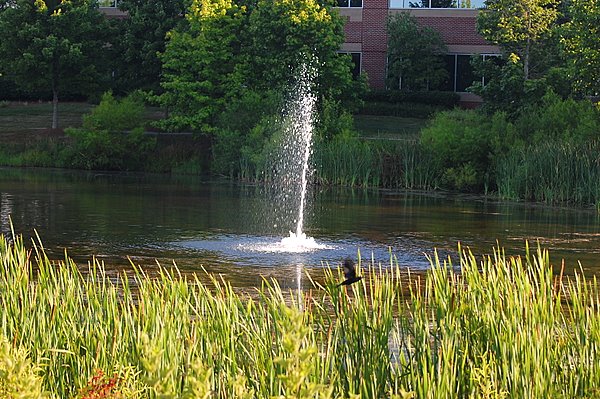 DSC_2310.JPG