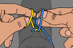 IanKnot2B.gif