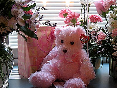 Katie-Friends-Family-0016.jpg
