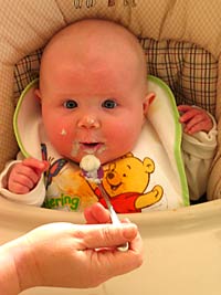 Katie-New-High-Chair-0002-small.jpg