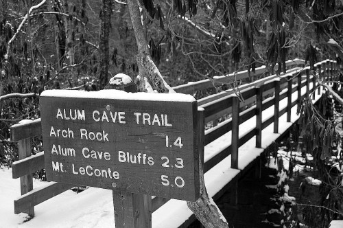 Bridge to Alum Cave Bluff