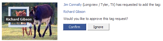 facebook-confirmrequests_1255530377841