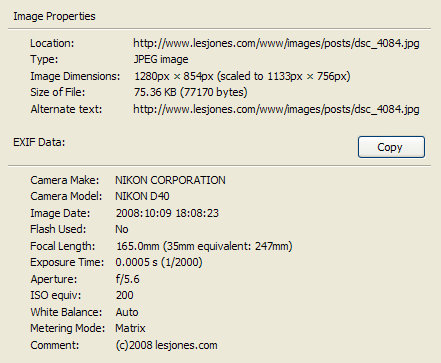 fullscreen-capture-10282008-93838-pm