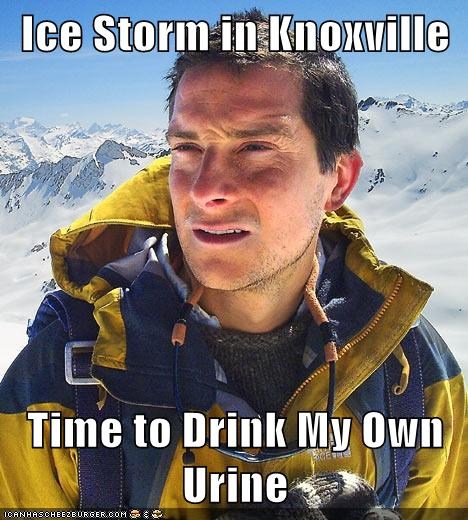 What Would Bear Grylls Do?