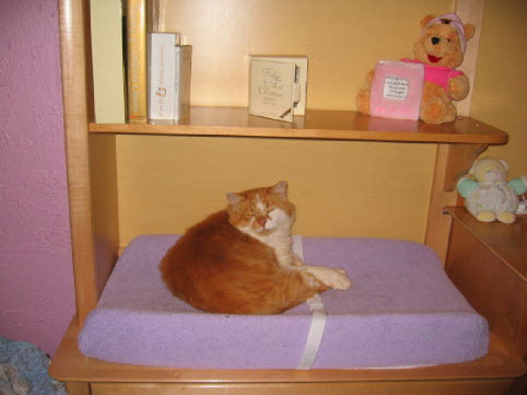 milo-nursery.jpg