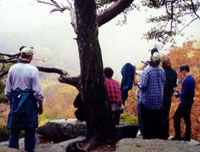 Overlook