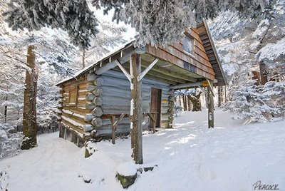 roan-high-knob-shelter
