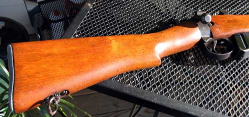 savagebuttstock.jpg